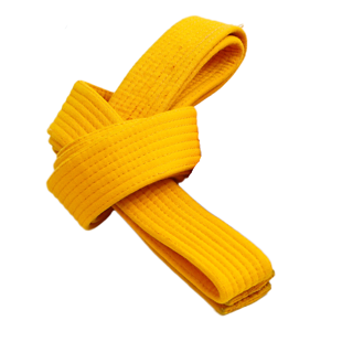 yellow_belt